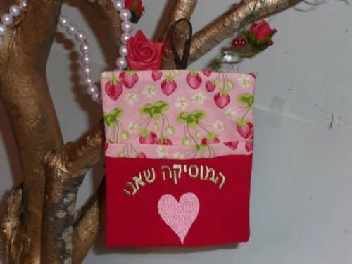 נרתיק לדיסק-המוסיקה שאני אוהב