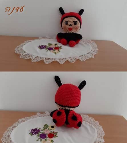 חיפושית סריגה